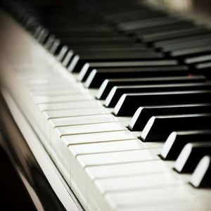 欧美猛哥午夜视频在线看
