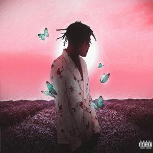 欧美猛哥午夜视频在线看
