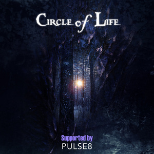 欧美猛哥午夜视频在线看
